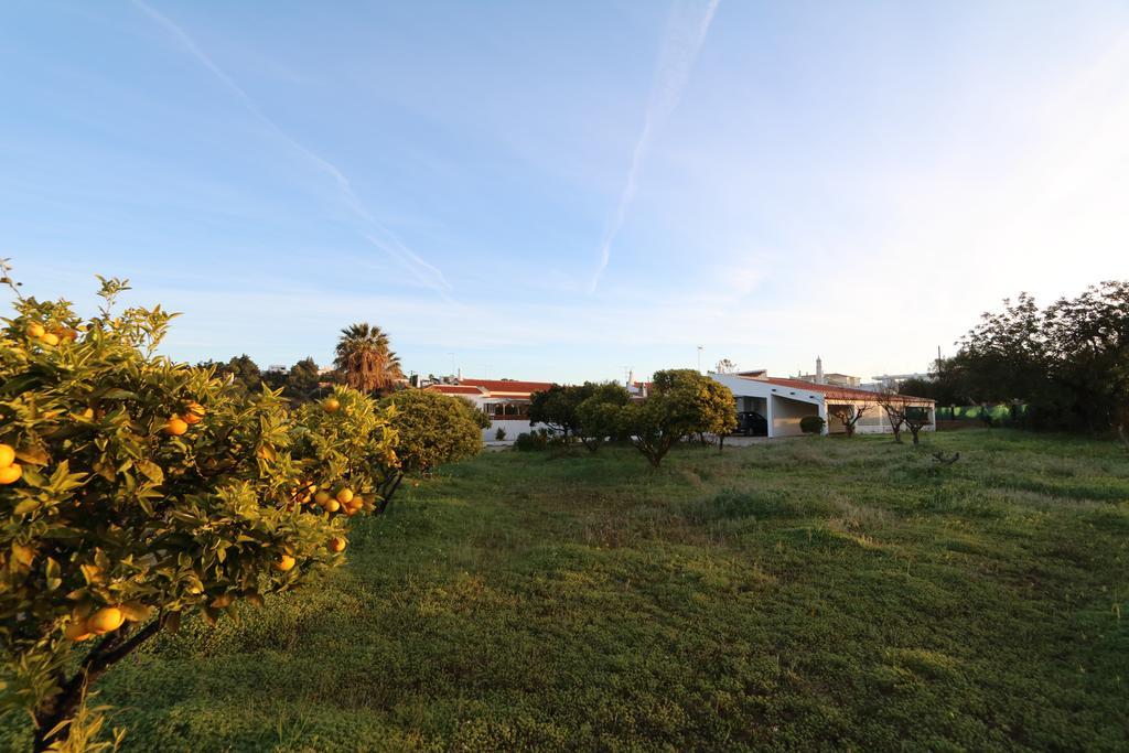 Country house Quinta Da Alfarrobeira - Vale Parra - Guia *