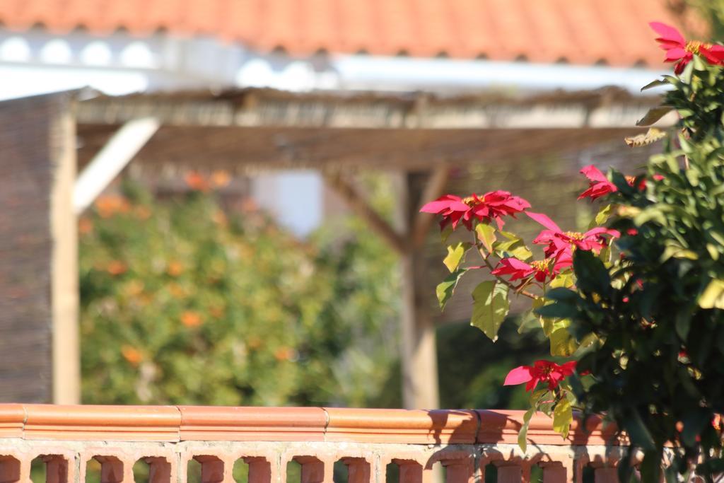 Quinta Da Alfarrobeira - Vale Parra - Guia Country house