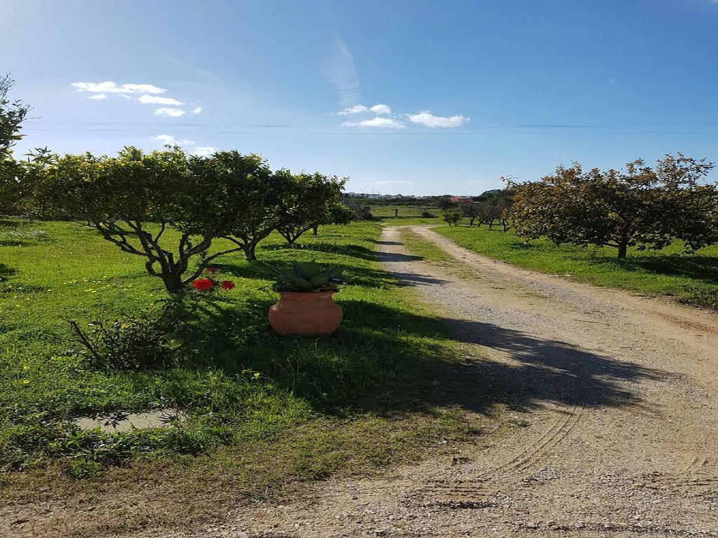 Quinta Da Alfarrobeira - Vale Parra - Guia *